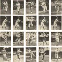 Collection of 1929 Kashin Baseball Cards